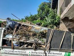 Best Basement Cleanout  in Los Osos, CA